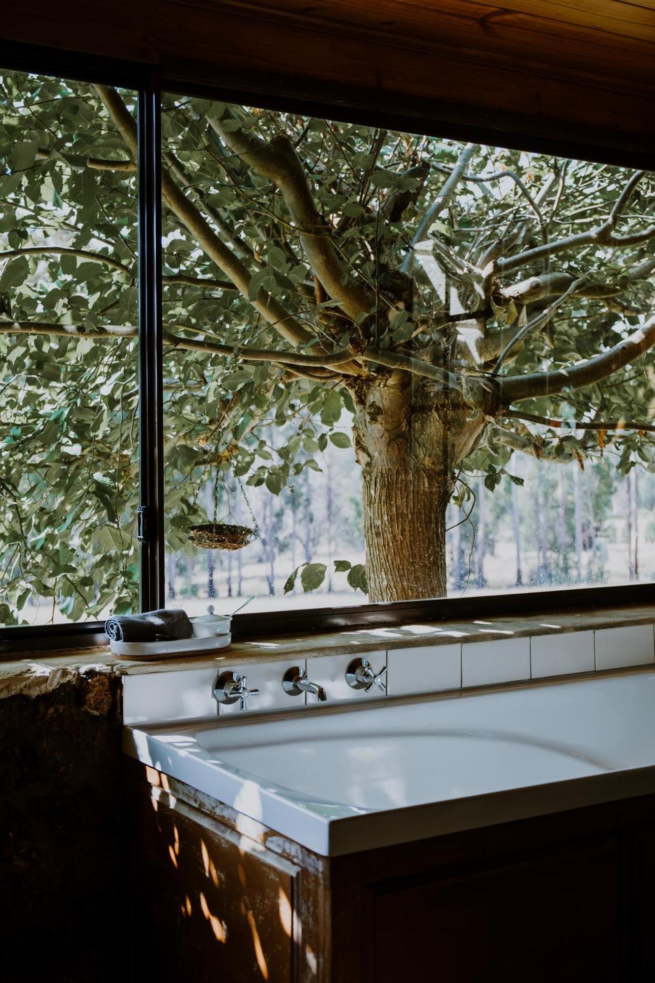 Clover Cottage Country Retreat Manjimup Exterior foto